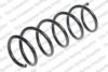 LESJ?FORS 4044247 Coil Spring